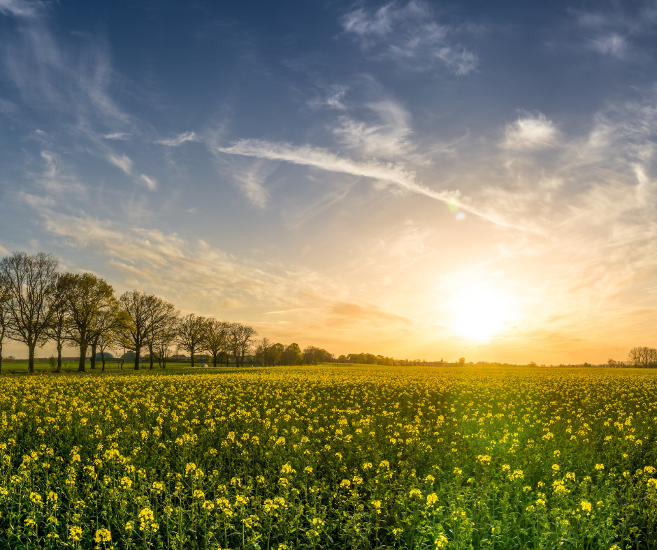 harness power of the sun